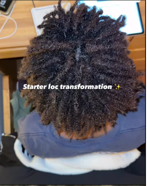 Starter locs